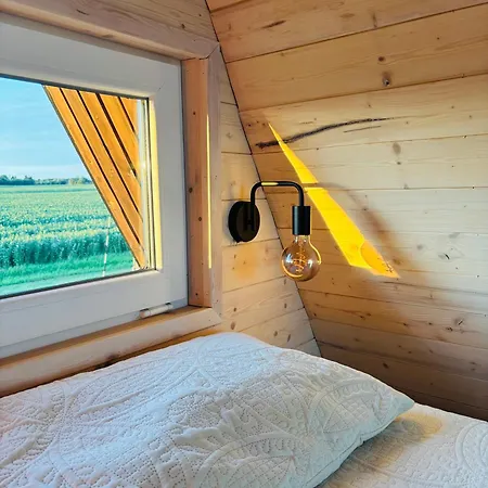 Pajupesa Puhkemaja Pajualuse